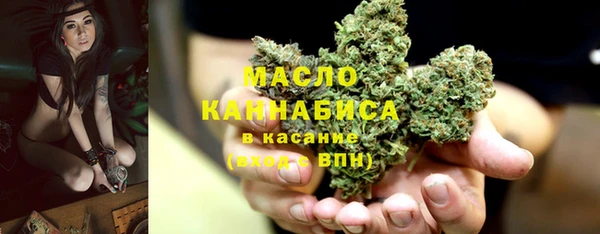 шишки Арсеньев