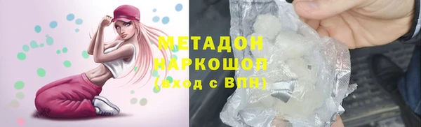 шишки Арсеньев