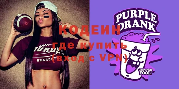 шишки Арсеньев