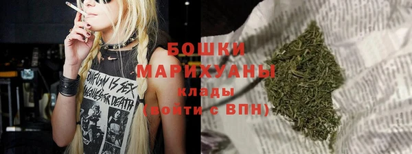 шишки Арсеньев