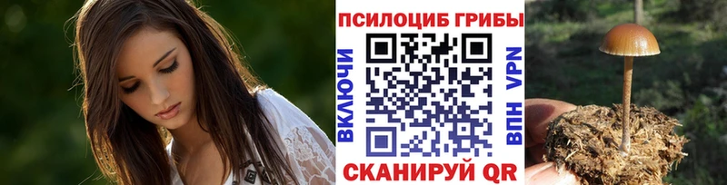 Псилоцибиновые грибы Psilocybine cubensis  Купить где  Ступино 